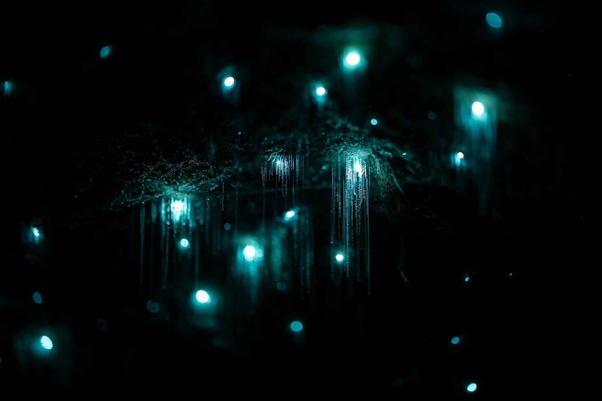 A dark scene with multiple light sources, including a central bright light and several smaller lights in the background. 2