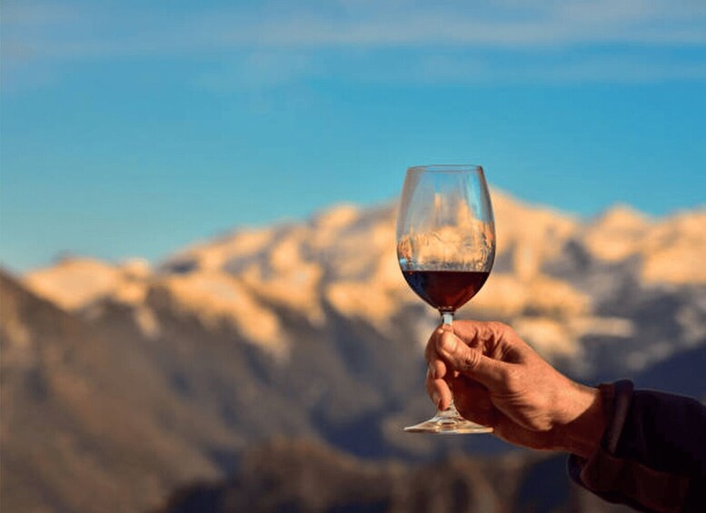 A hand holding a wine glass with a mountainous landscape in the background. 4