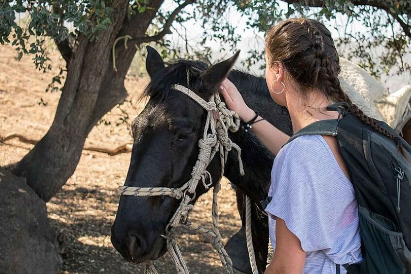 A person with a horse tied to a tree. 5