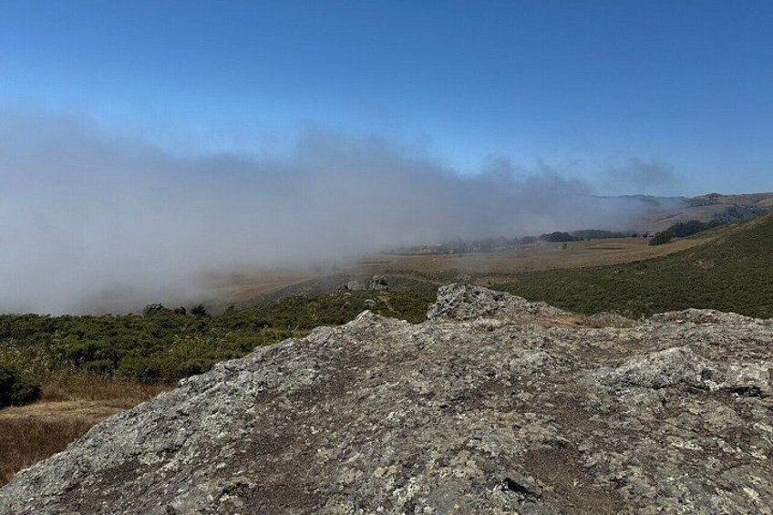 Watch the coastal fog drift across the hills—an unforgettable Sonoma moment. 2