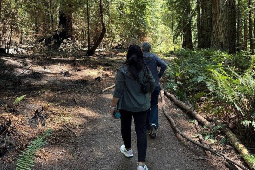 Dos personas caminando por un sendero forestal rodeado de árboles y helechos. 4
