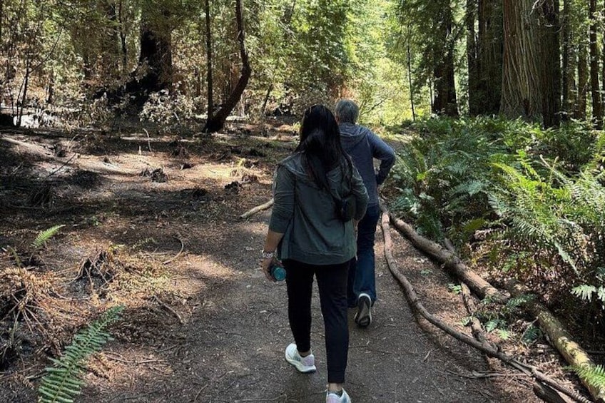 Un sendero en el bosque con dos personas caminando. 2