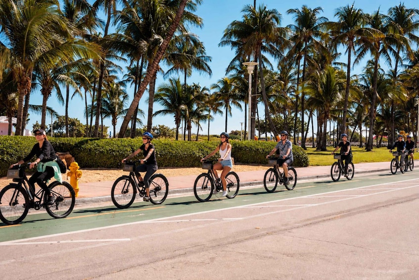 A group of cyclists on a road with palm trees in the background. 4
