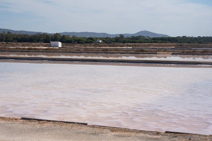 A salt flat with a white building in the distance, surrounded by hills and sparse vegetation. 5