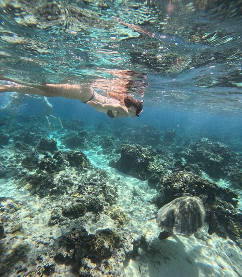 Picture 63 for Activity Gili Air Snorkeling Tour with Turtles & GoPro Shared/Private 4