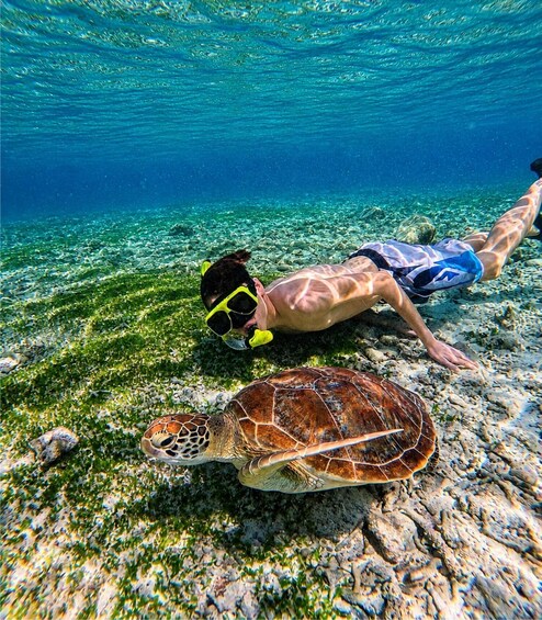 Gili Air: Snorkeling with Turtles and statue in Gili Islands 1