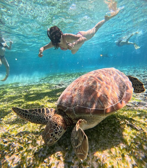 Gili Air Snorkeling Tour with Turtles & GoPro Shared/Private 2