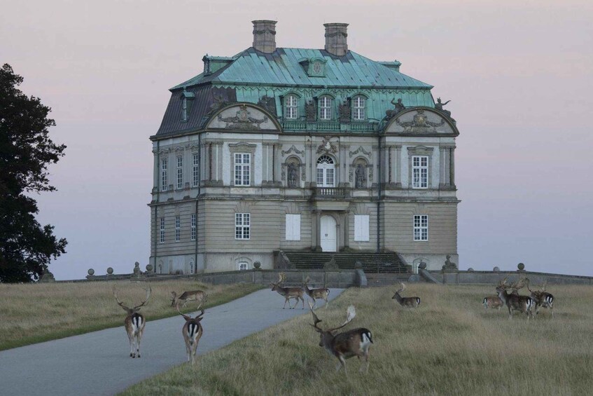 Copenhagen: Deer Park and Hermitage Palace Guided Walk 1