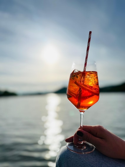 Sundowner cruise on the Danube with the Siebnerin 1