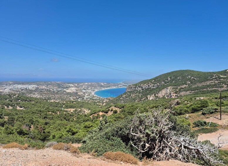 A coastal landscape with a clear blue sky, green hills, and a winding road. 2