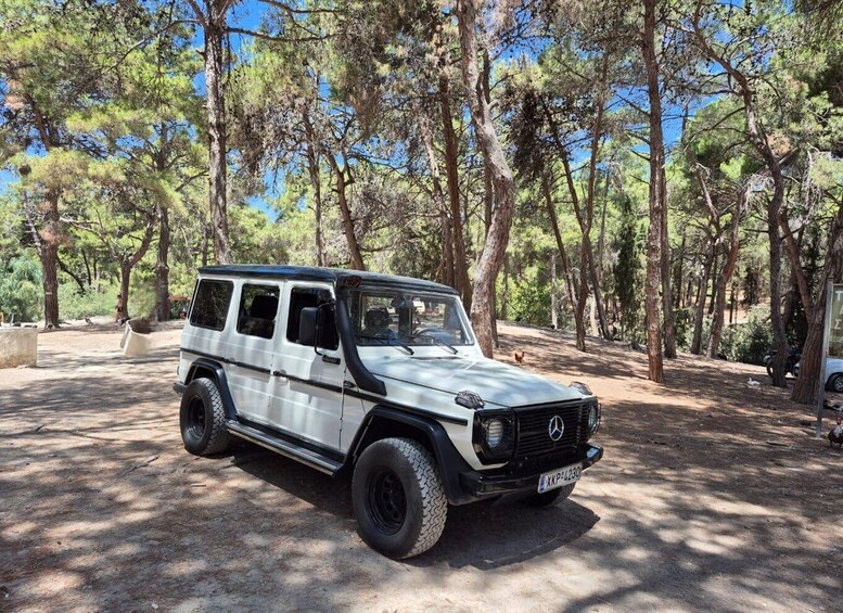 A silver Mercedes-Benz G-Class SUV parked in a wooded area. 4