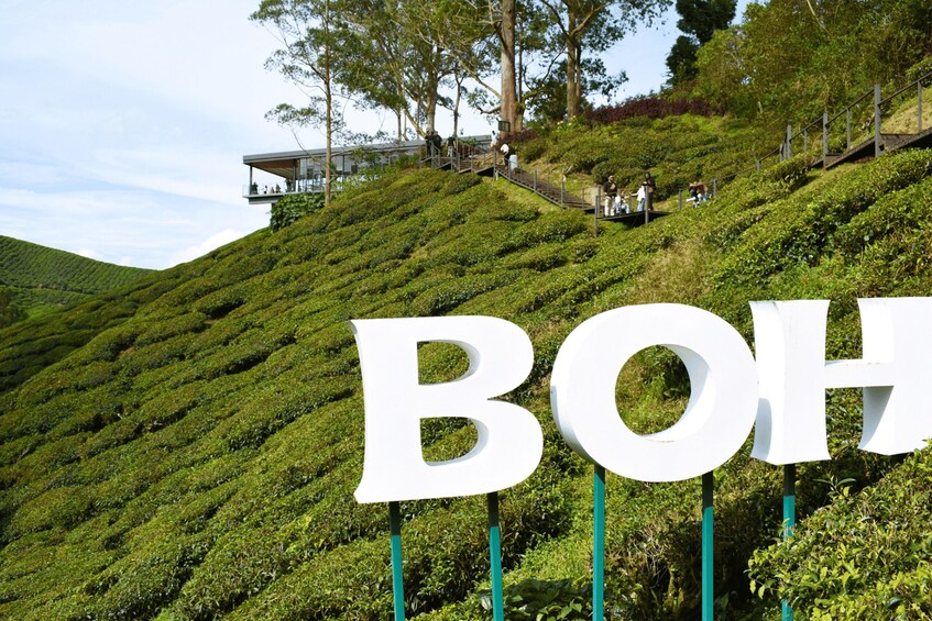 A hillside with a tea plantation and a large white sign with the letters 'BOH'. 2