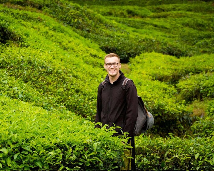 Picture 3 for Activity Ipoh: Private Cameron Highlands & Tea Plantation Day Tour 1