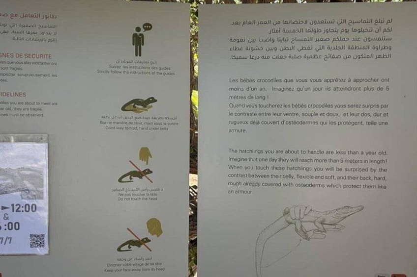 A sign with instructions and a sketch of a crocodile. 2