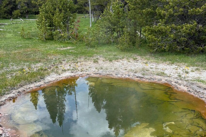 A natural pond surrounded by grass and trees. 2