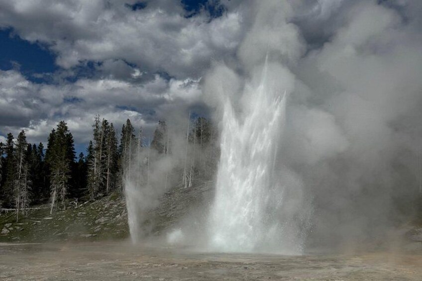 Yellowstone Tour Lower Loop Experience 2