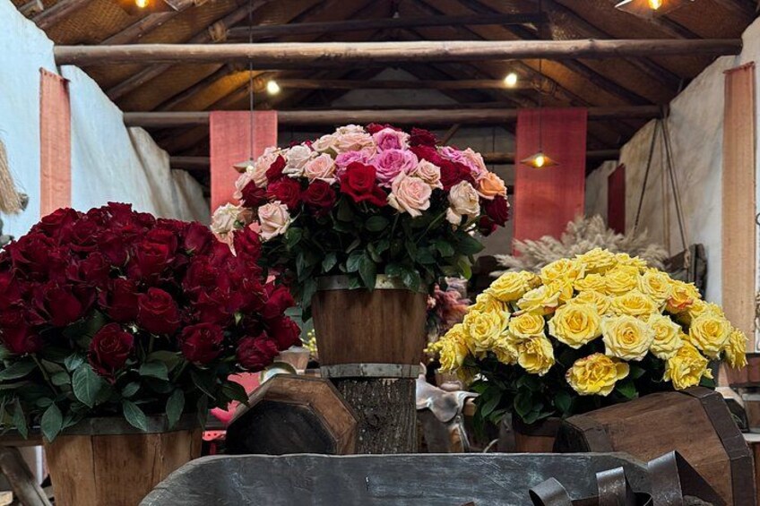Quilotoa Lagoon and Rose Farm - Private Tour 4