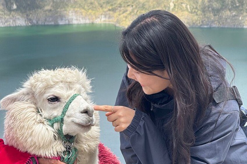 Quilotoa Lagoon and Rose Farm - Private Tour 1
