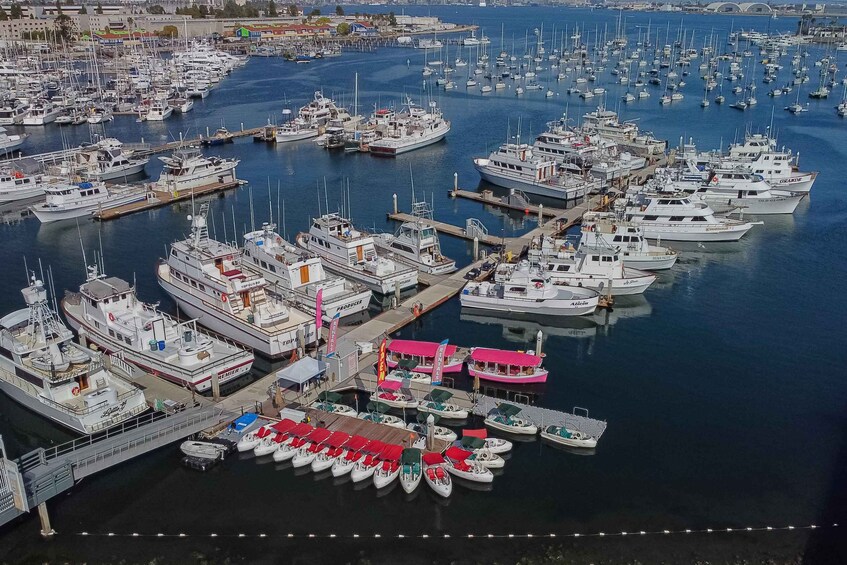 Picture 5 for Activity San Diego: Electric Boat Rental with Sunshade 2