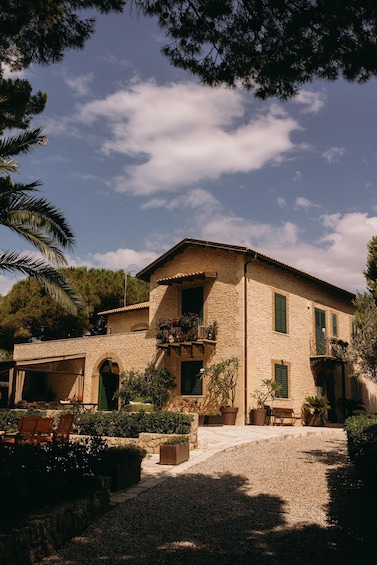 A stone house with a tiled roof, surrounded by greenery and a gravel driveway. 5