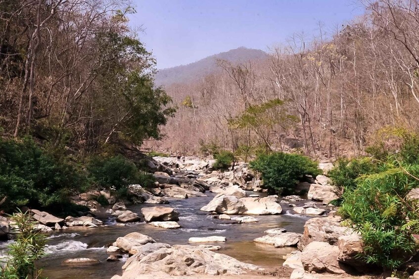 A rocky stream with trees and a mountain in the background. 3