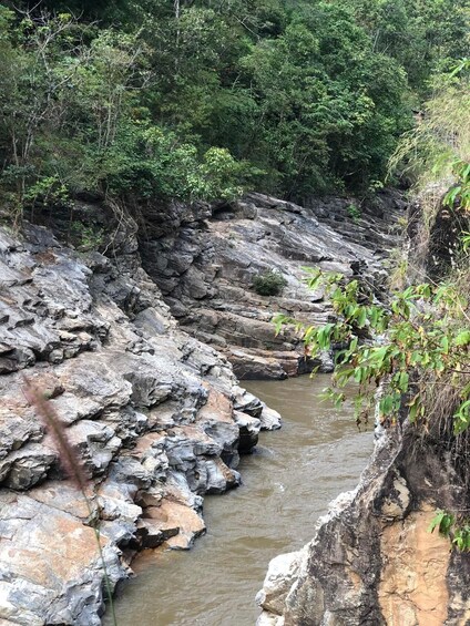 A rocky riverbed with water flowing through it, surrounded by dense greenery. 4