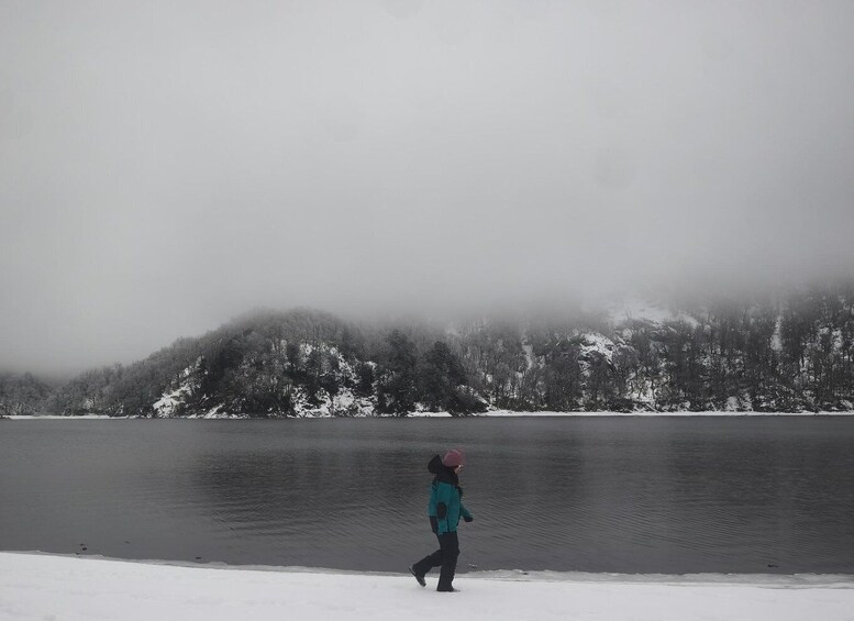 Picture 3 for Activity Pucón: Full-Day Excursion to Andean Lakes, Villarrica National Park. 5