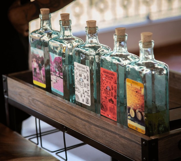 Picture 1 for Activity Finca 18 Tequila Tour w/ Chocolate Pairing + Pickup Point 3