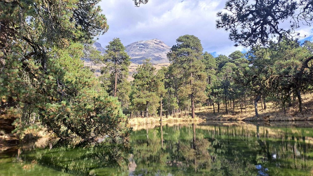 A serene lake surrounded by dense trees and a mountain in the background. 3