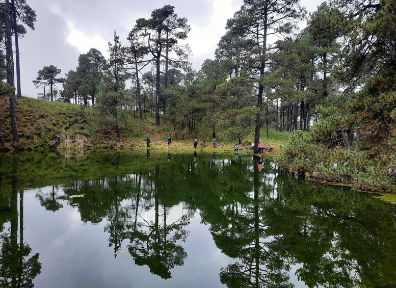 A calm lake surrounded by dense trees and a grassy hill. 2