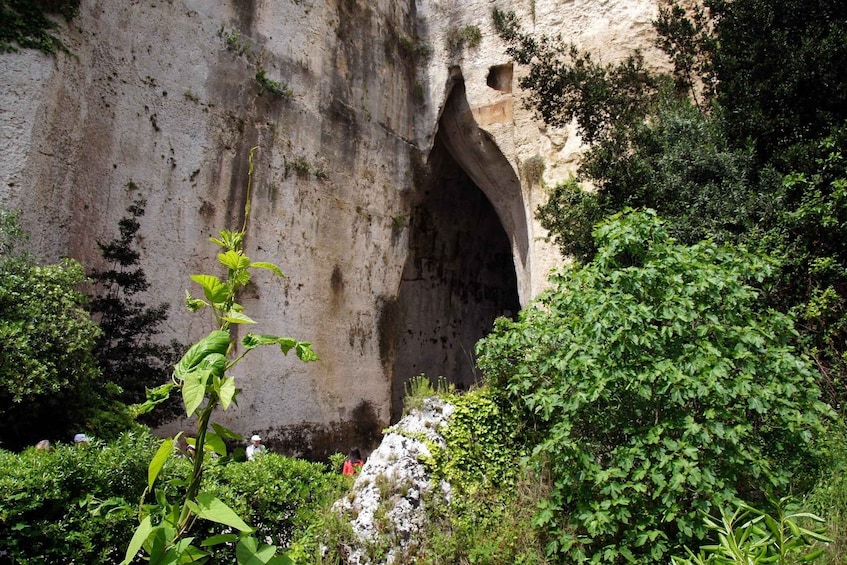 A natural rock formation with an archway, surrounded by lush greenery. 2
