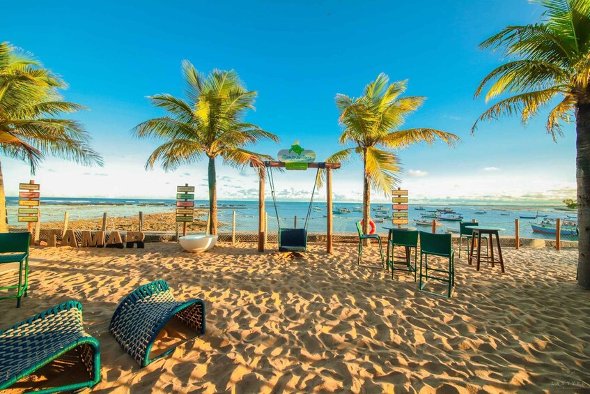 A beach with palm trees, a swing, and lounge chairs. 4