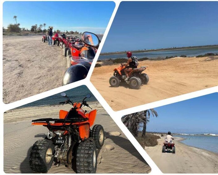 Vehículos todo terreno en una playa arenosa con palmeras y cielo despejado. 1