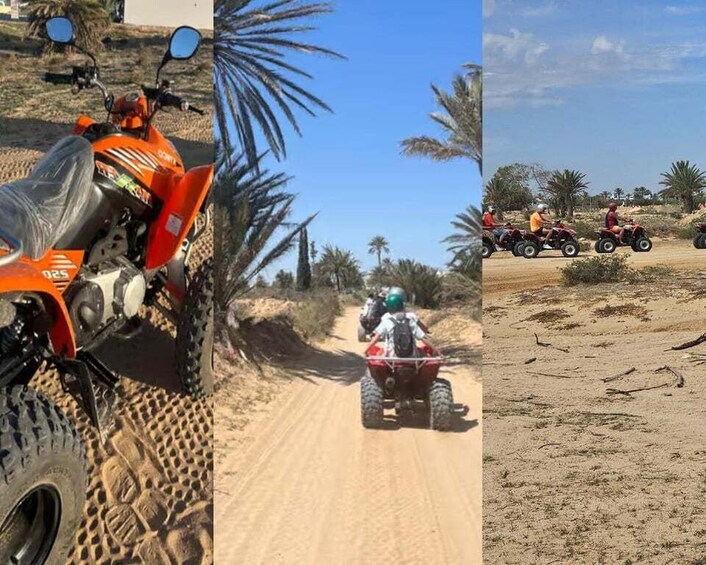 Un camino de tierra con vehículos, palmeras y cielo despejado. 5