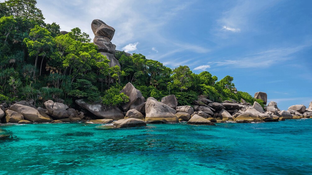 A coastal landscape with large boulders and lush green trees. 1