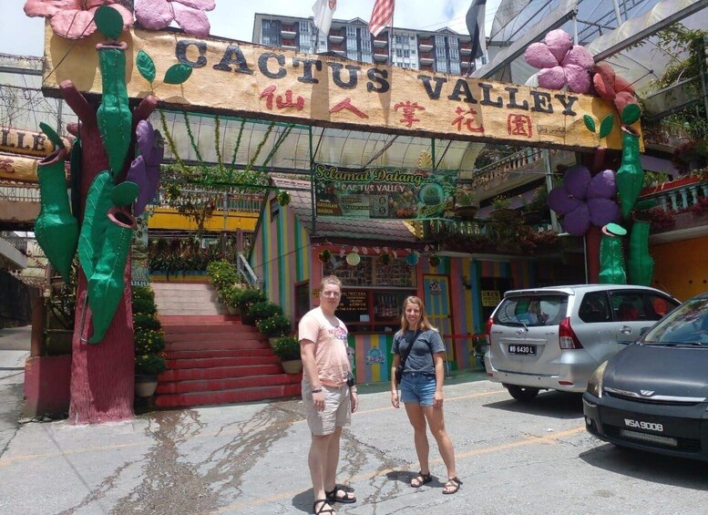 A storefront with a sign reading "CACTUS VALLEY" and decorative cactus sculptures. 4