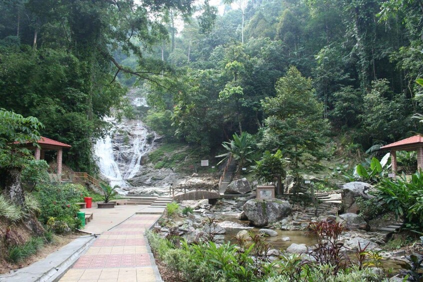 A waterfall, a pathway, and lush greenery. 2