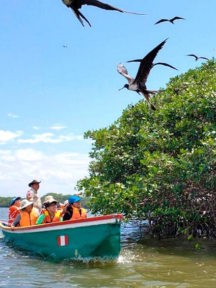 Picture 1 for Activity Tumbes: Puerto Pizarro Mangroves & Islands Tour 5