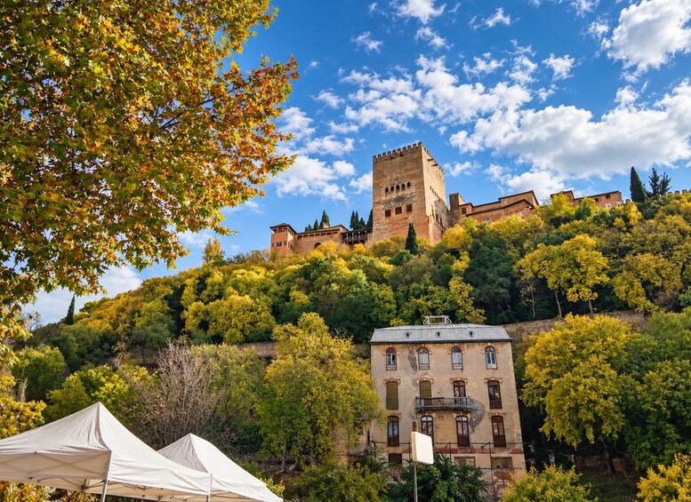 Picture 7 for Activity Private Tour: 4 Cultures, Granada in depth 4