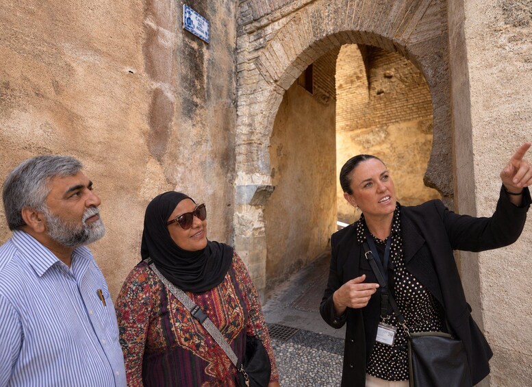 Picture 2 for Activity Private Tour: 4 Cultures, Granada in depth 2