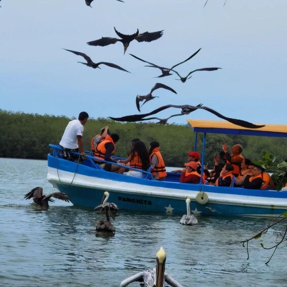 Picture 8 for Activity Mancora: Puerto Pizarro - Tour Mangrove Mysteries 3