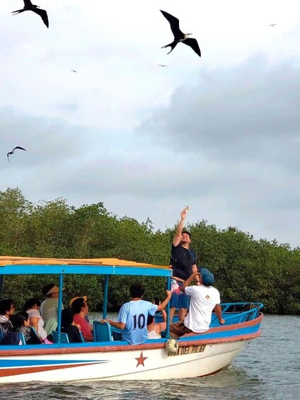 Picture 1 for Activity Mancora: Puerto Pizarro - Tour Mangrove Mysteries 5
