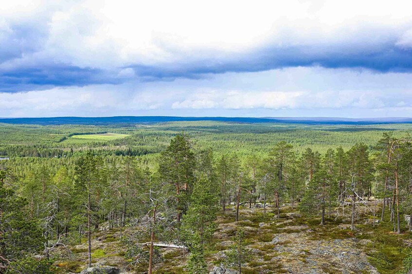 A forested landscape with a cloudy sky. 4