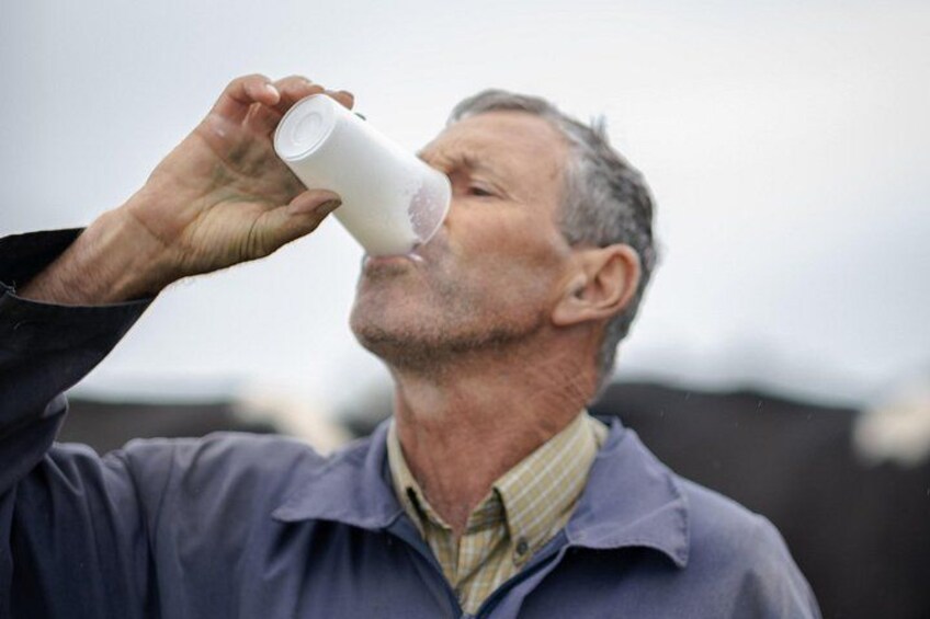 Try the milk! 3