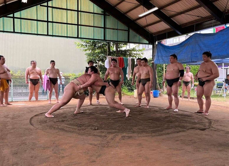 A sumo wrestling match in progress with several wrestlers and spectators. 1