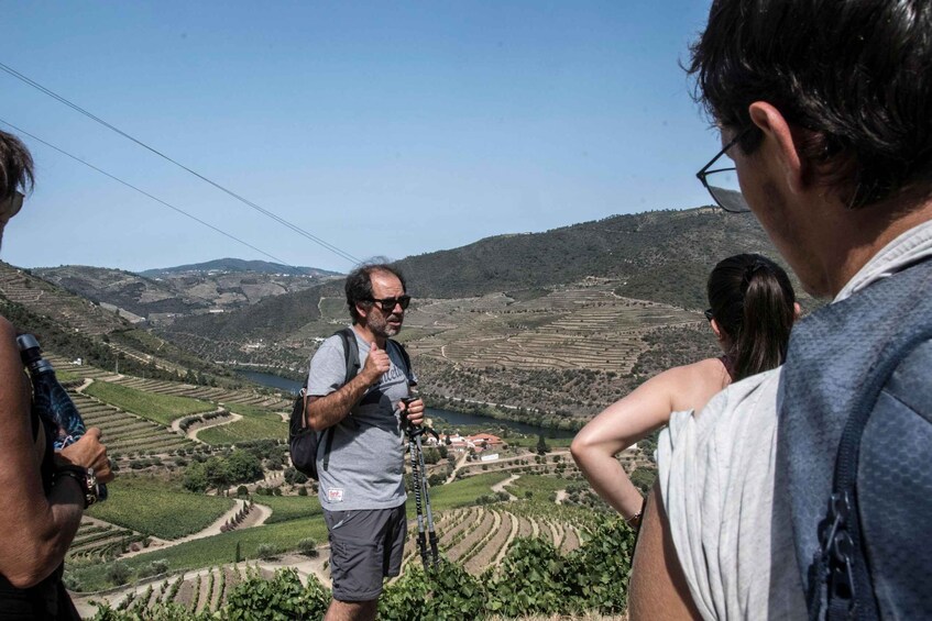 A group of people on a hillside overlooking a vineyard. 3