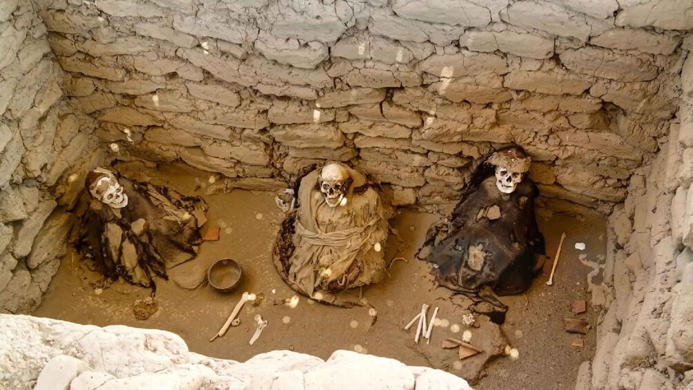 Three skeletons in a tomb with a stone wall. 3
