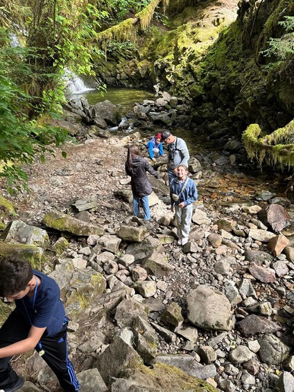 Picture 2 for Activity Ketchikan: Alaska Native Cultural and Scenic Shore Excursion 2