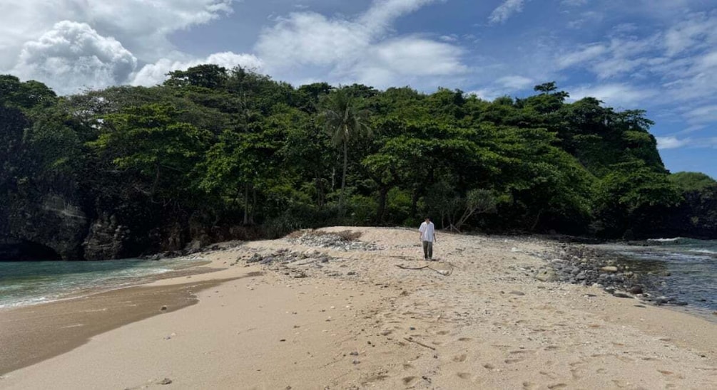 A beach with a person walking on the sand, surrounded by lush greenery and rocky cliffs. 3