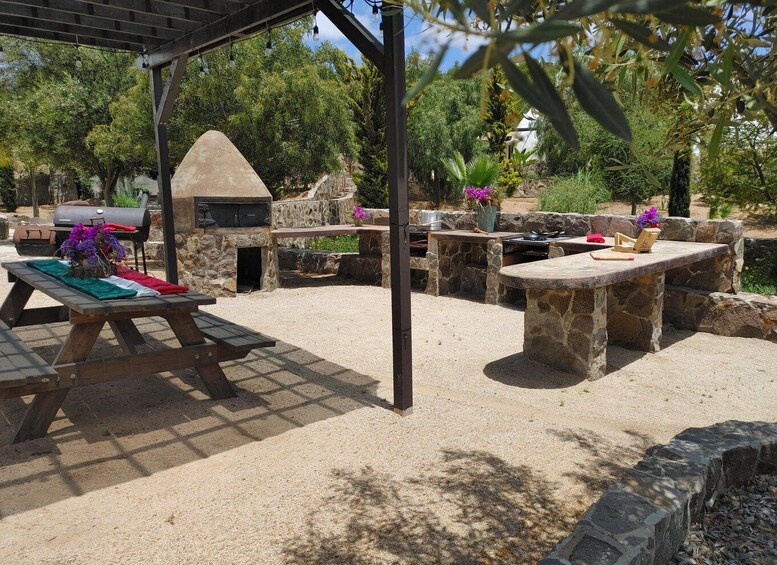 Picture 6 for Activity Valle de Guadalupe: Mexican Cooking at Hacienda Eco-Domes 5